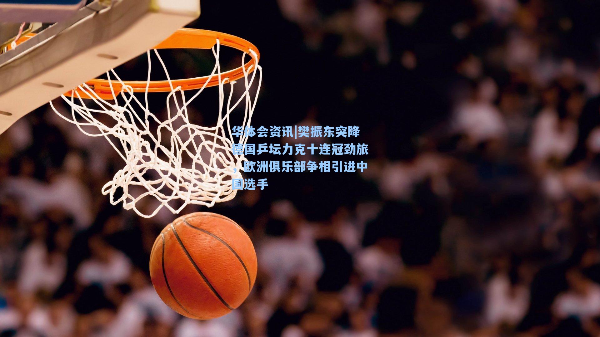 樊振东突降德国乒坛力克十连冠劲旅，欧洲俱乐部争相引进中国选手